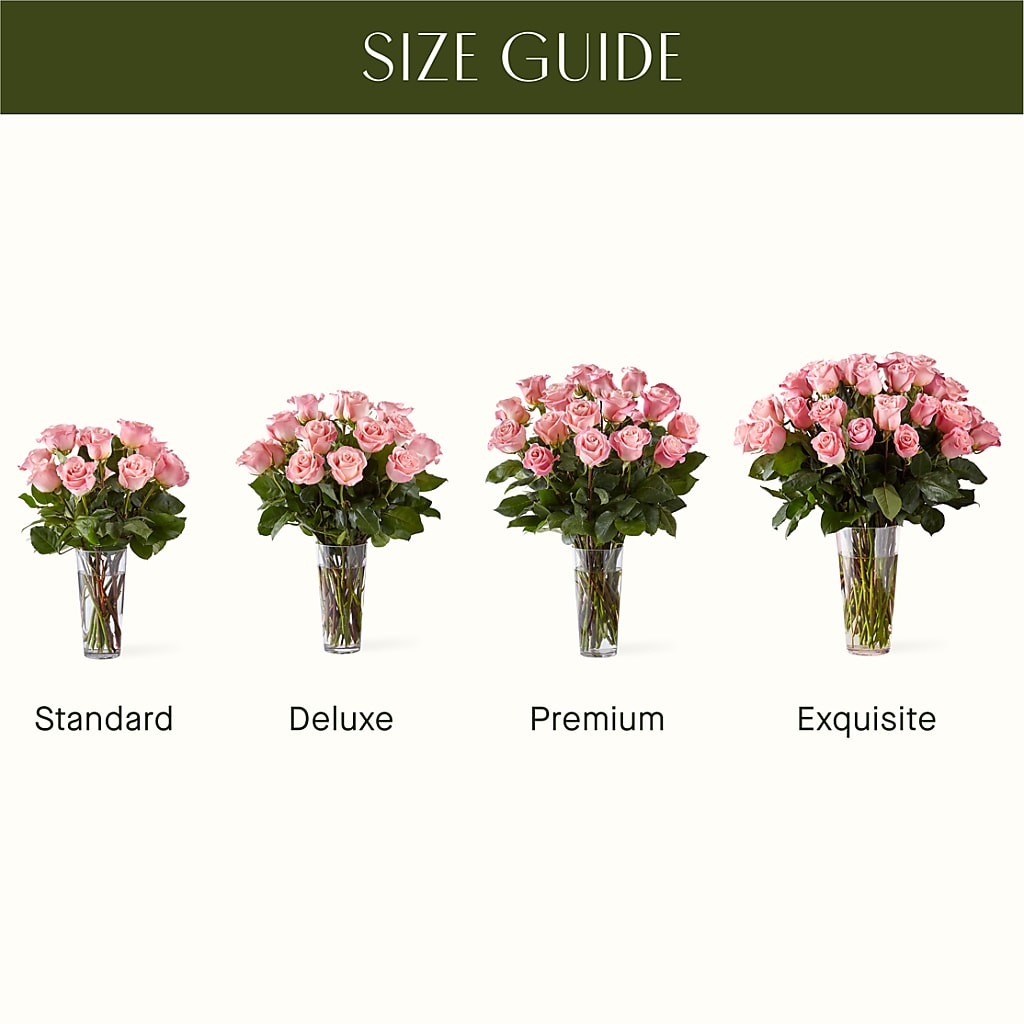 Long Stem Pink Rose Bouquet – Gift Z, Lake Worth FL