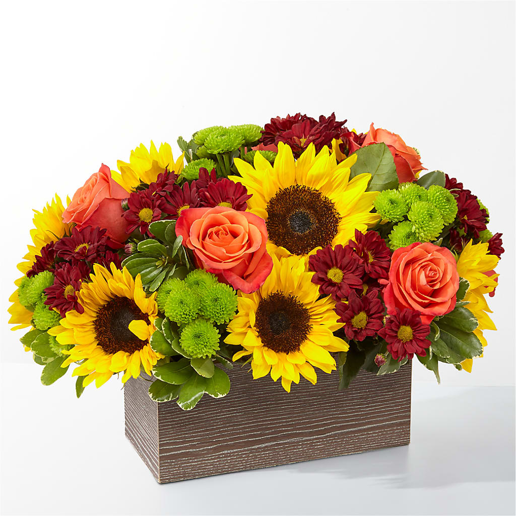 Happy Harvest Garden – Gift Z, Lake Worth FL