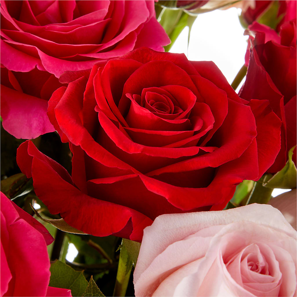 Love Notes Rose Bouquet – Gift Z, Lake Worth FL