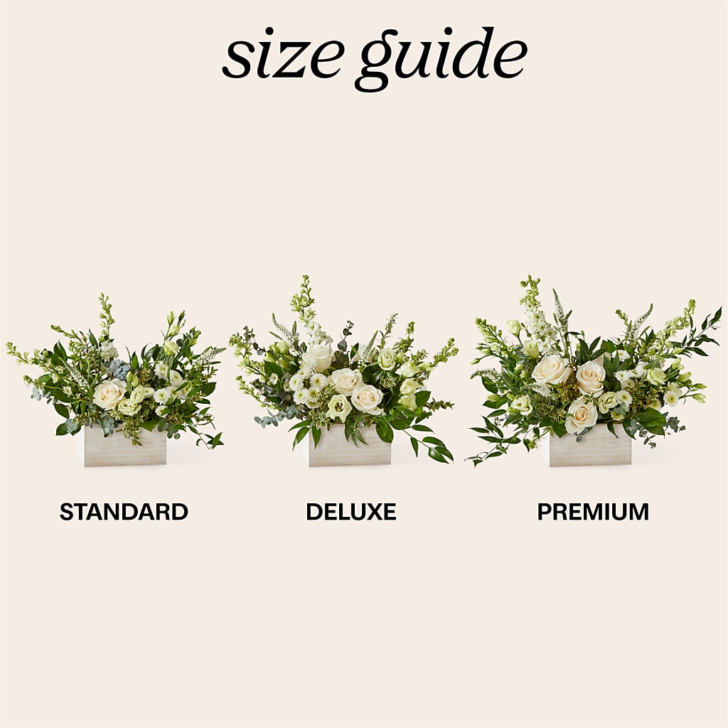 Cashmere Bouquet –  Gift Z, Lake Worth FL