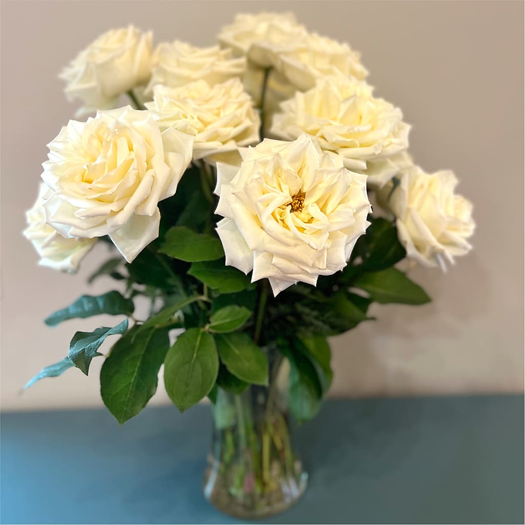 Long Stem Yellow Rose Bouquet –  Gift Z, Lake Worth FL