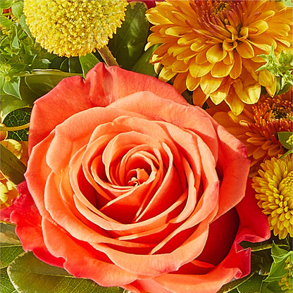 Gourdgeous Pumpkin –  Gift Z, Lake Worth FL
