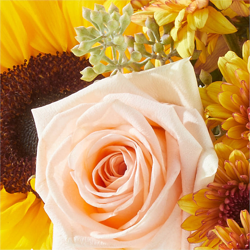 Pumpkin to Talk About Bouquet –  Gift Z, Lake Worth FL