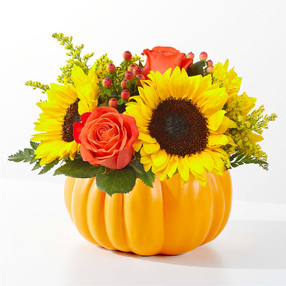 Bouquet de citrouilles « Le Coup de Cœur du Potager »