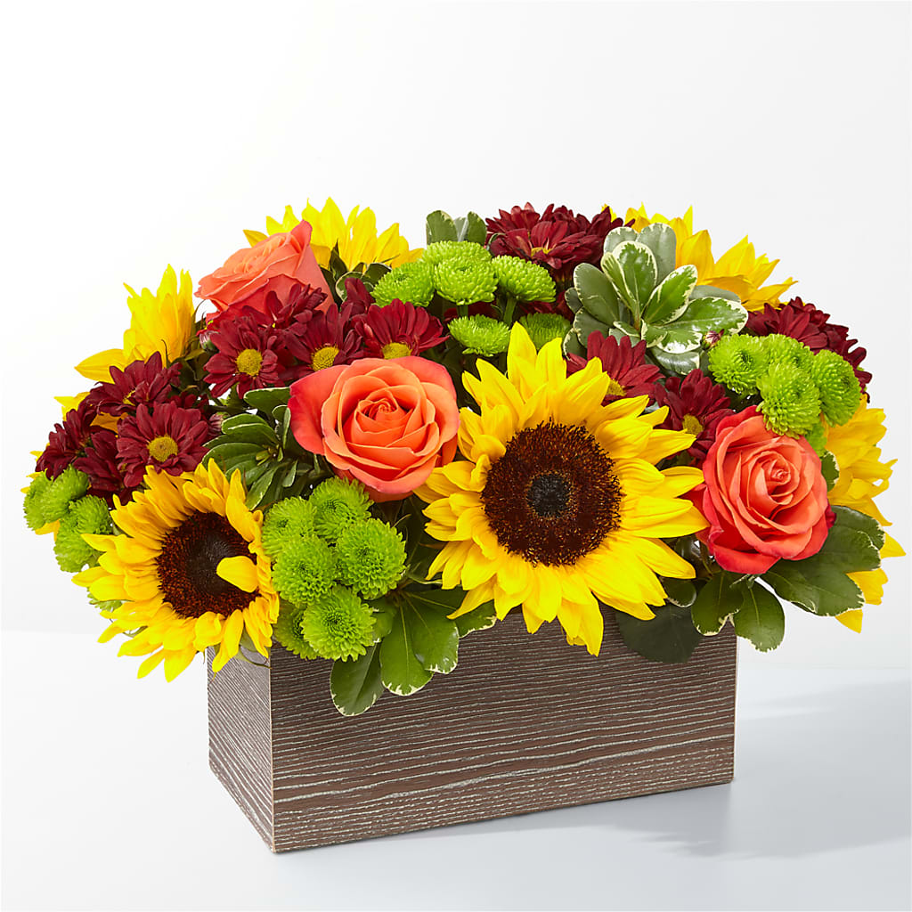 Joyeux Jardin de Récolte