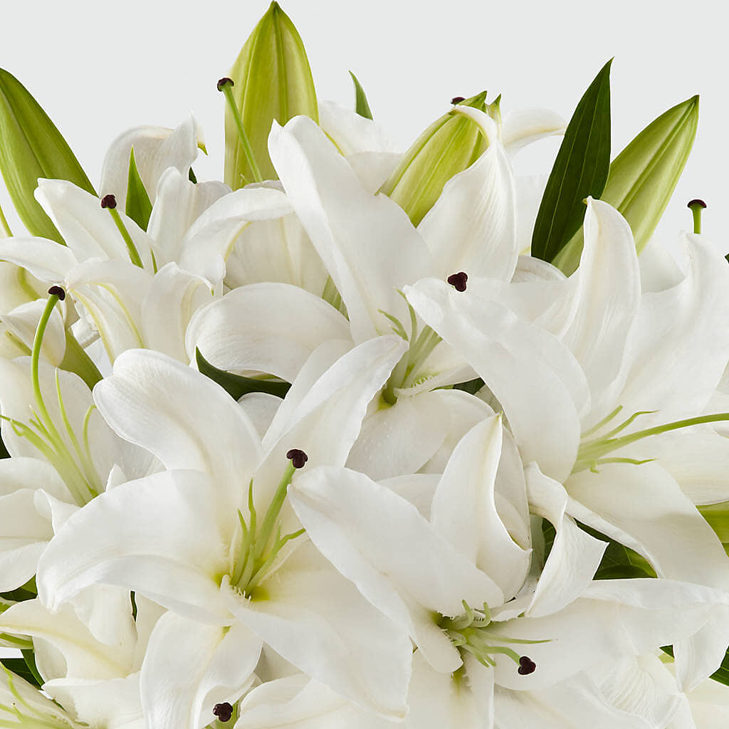 Faithful Blessings Bouquet –  Gift Z, Lake Worth FL
