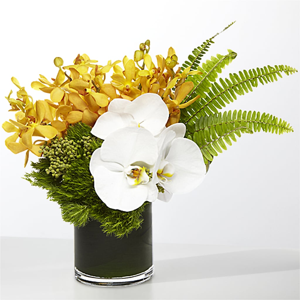The Tropics –  Gift Z, Lake Worth FL