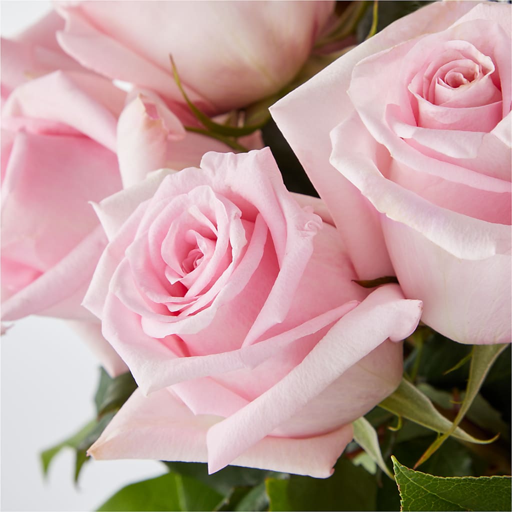 Picture Perfect Pink Rose Bouquet –  Gift Z, Lake Worth FL
