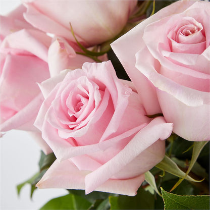 Picture Perfect Pink Rose Bouquet –  Gift Z, Lake Worth FL