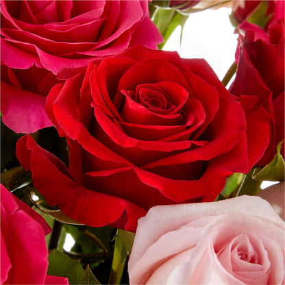 Love Notes Rose Bouquet –  Gift Z, Lake Worth FL