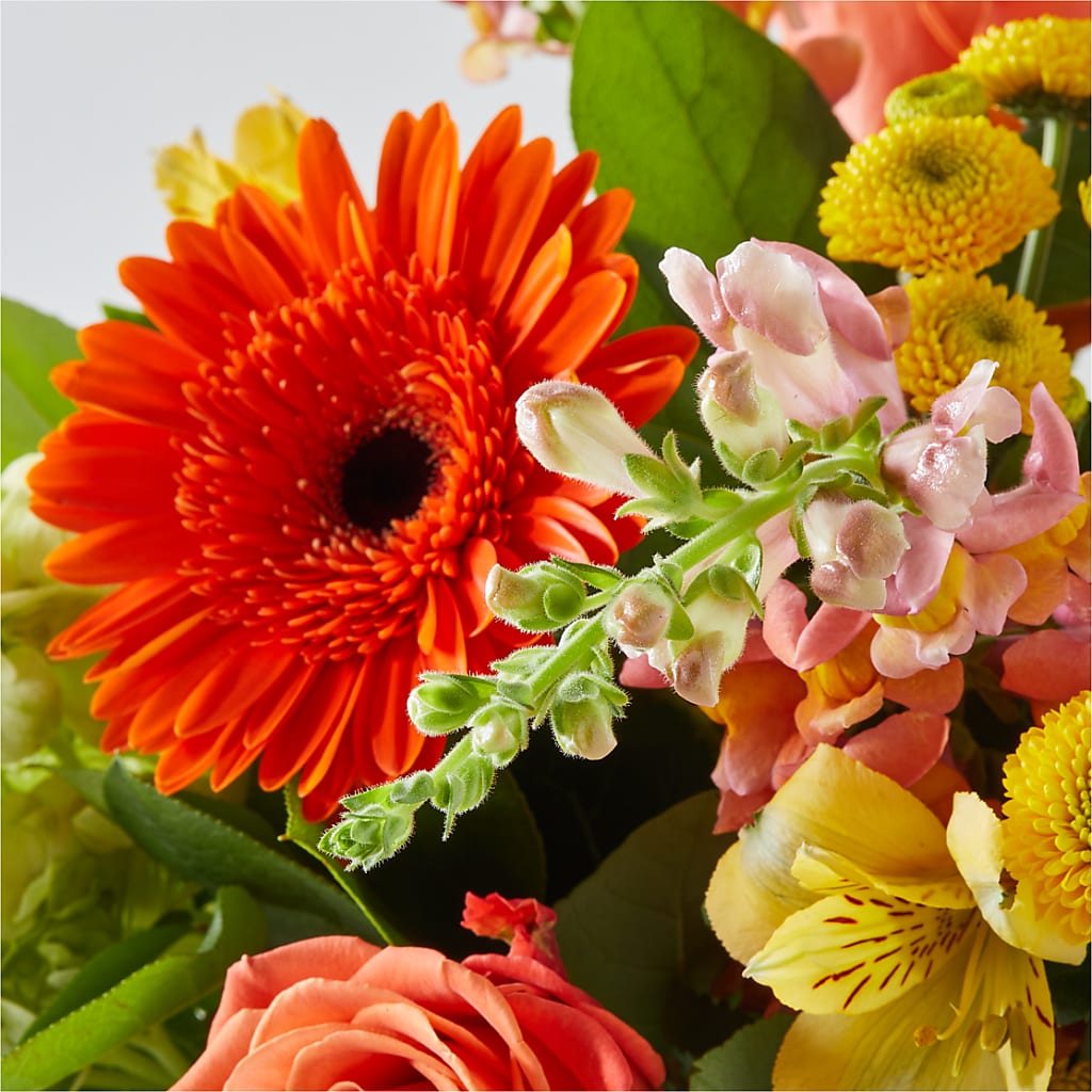 Autumn Sunshine Bouquet –  Gift Z, Lake Worth FL
