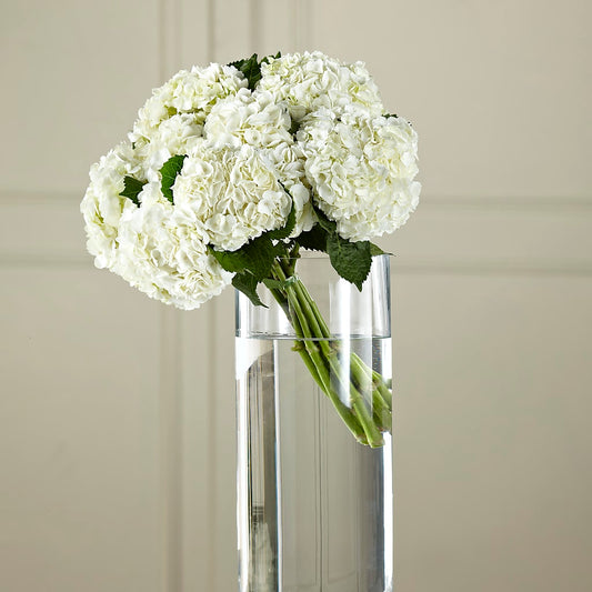 Bouquet de {{flower}} hydrangées blanches