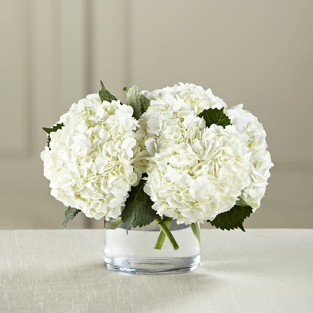 Ramo de Hortensias Blancas