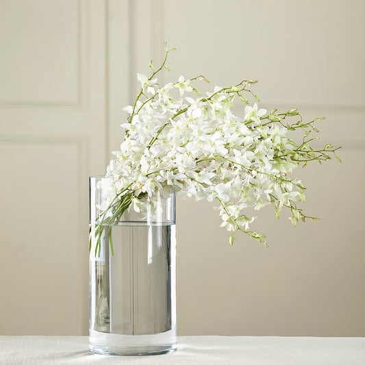 Bouquet de dendrobiums blancs